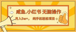 （11524期）2024最赚钱的项目，咸鱼，小红书无脑操作，每单利润500+，轻松月入5万+…-网创项目总站