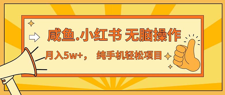 （11524期）2024最赚钱的项目，咸鱼，小红书无脑操作，每单利润500+，轻松月入5万+…-网创项目总站