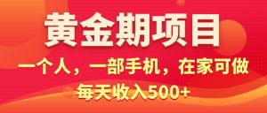 （11527期）黄金期项目，电商搞钱！一个人，一部手机，在家可做，每天收入500+-网创项目总站