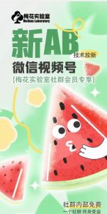 梅花实验室2024年AB技术视频号AB合成破解版-网创项目总站