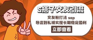 （11548期）某收费888-S搭子交友引流，交友粉打法 sop，导流到私域实现长期稳定盈利-网创项目总站