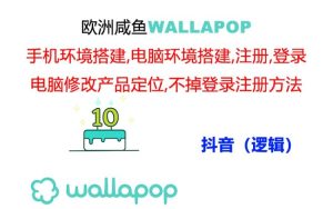 （11549期）wallapop整套详细闭环流程：最稳定封号率低的一个操作账号的办法-网创项目总站