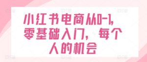 小红书电商从0-1，零基础入门，每个人的机会-网创项目总站