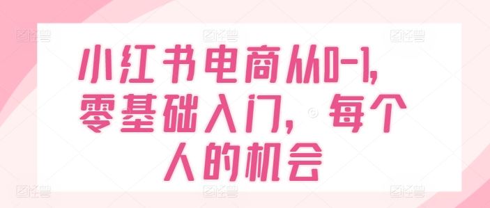 小红书电商从0-1，零基础入门，每个人的机会-网创项目总站