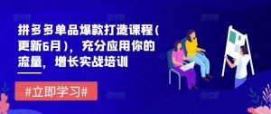 拼多多单品爆款打造课程(更新6月)，充分应用你的流量，增长实战培训-网创项目总站