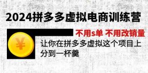 2024拼多多虚拟电商训练营 不用s单 不用改销量 在拼多多虚拟上分到一杯羹-网创项目总站