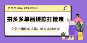 （11556期）2024拼多多-单品爆款打造班(更新6月)，充分应用你的流量，增长实战培训-网创项目总站