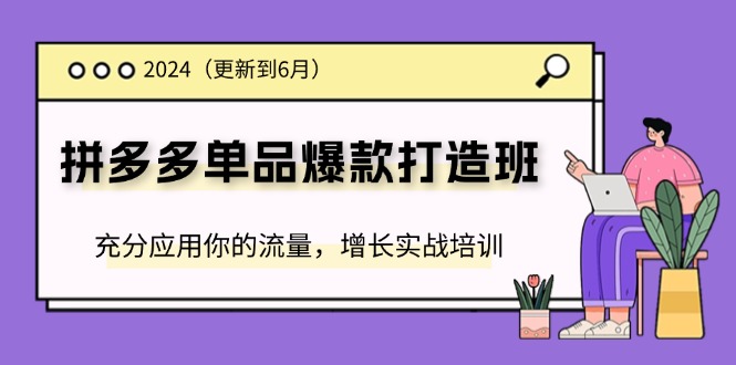 （11556期）2024拼多多-单品爆款打造班(更新6月)，充分应用你的流量，增长实战培训-网创项目总站