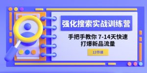 （11557期）强化 搜索实战训练营，手把手教你 7-14天快速-打爆新品流量（13节课）-网创项目总站