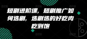 短剧进阶课，短剧推广如何选剧，选剧选的好吃肉吃到饱-网创项目总站