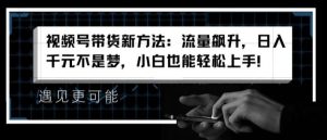 视频号带货新方法：流量飙升，日入千元不是梦，小白也能轻松上手【揭秘】-网创项目总站