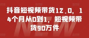抖音短视频带货12.0，14个月从0到1，短视频带货90万件-网创项目总站