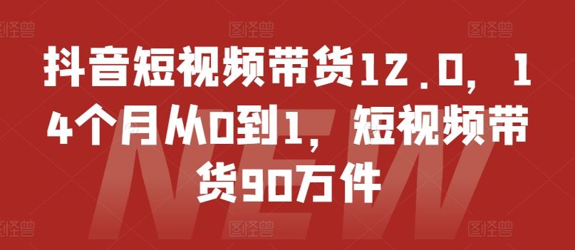 抖音短视频带货12.0，14个月从0到1，短视频带货90万件-网创项目总站