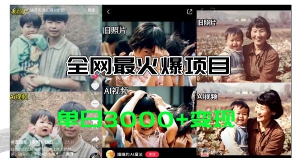 全网爆火的AI让老照片动起来教程，蹭热点日赚3k+，内含免费工具一键可生成【揭秘】-网创项目总站