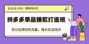 2024拼多多单品爆款打造班，充分应用你的流量，增长实战培训(更新6月)-网创项目总站