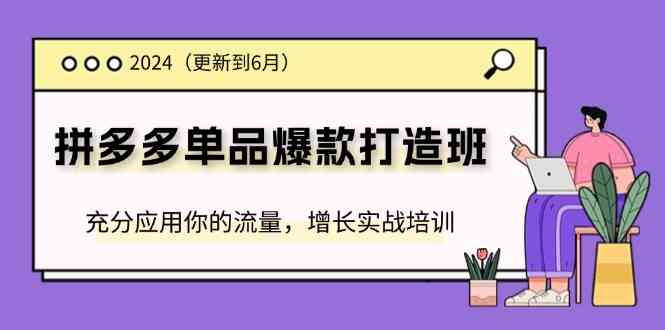 2024拼多多单品爆款打造班，充分应用你的流量，增长实战培训(更新6月)-网创项目总站