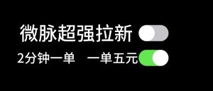 （11580期）微脉超强拉新， 两分钟1单， 一单利润5块，适合小白-网创项目总站