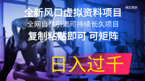 （11587期）全新风口虚拟资料项目 全网自然引流可持续长久项目 复制粘贴即可可矩阵…-网创项目总站