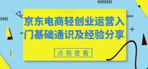 京东电商轻创业运营入门基础通识及经验分享-网创项目总站