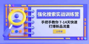强化搜索实战训练营，手把手教你7-14天快速打爆新品流量（13节课）-网创项目总站