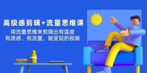 （11589期）高级感 剪辑+流量思维：用流量思维剪辑出有温度/有质感/有流量/能变现视频-网创项目总站