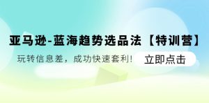 （11591期）亚马逊-蓝海趋势选品法【特训营】：玩转信息差，成功快速套利!-网创项目总站