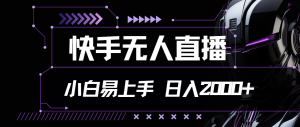 （11603期）快手无人直播，小白易上手，轻轻松松日入2000+-网创项目总站
