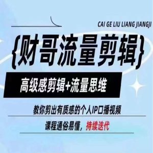 财哥流量剪辑，高级感剪辑+流量思维，教你剪出有质感的个人IP口播视频-网创项目总站