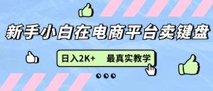 （11610期）新手小白在电商平台卖键盘，日入2K+最真实教学-网创项目总站