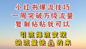 小红书爆流技巧，一周突破万级流量，复制粘贴就可以，引流爆流变现【揭秘】-网创项目总站