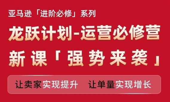 亚马逊进阶必修系列，龙跃计划-运营必修营新课，让卖家实现提升 让单量实现增长-网创项目总站