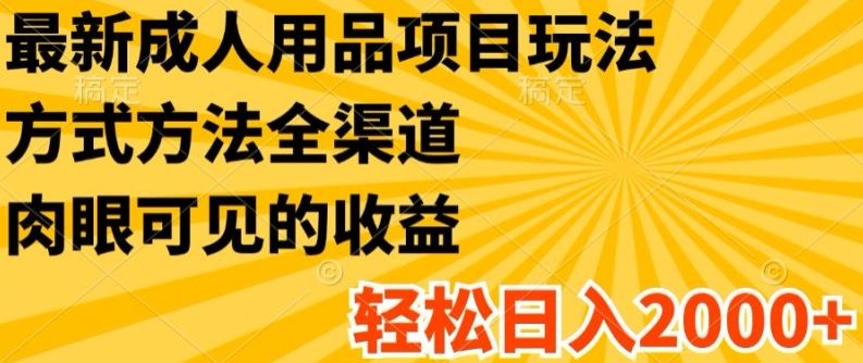 最新成人用品项目玩法，方式方法全渠道，轻松日入2K+【揭秘】-网创项目总站