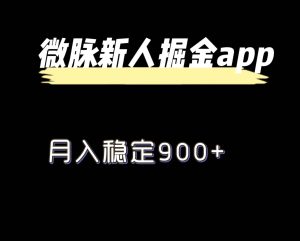 最新微脉长久项目,拉新掘金,月入稳定900+-网创项目总站