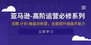 亚马逊高阶运营必修系列，龙腾计划-操盘训练营，全面提升操盘手能力-网创项目总站