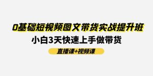（11641期）0基础短视频图文带货实战提升班(直播课+视频课)：小白3天快速上手做带货-网创项目总站