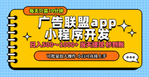 （11645期）小程序开发 广告赚钱 日入500~1000+ 小白轻松上手！-网创项目总站