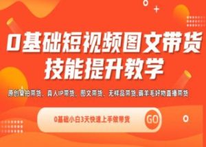 0基础短视频图文带货实操技能提升教学(直播课+视频课),0基础小白3天快速上手做带货-网创项目总站