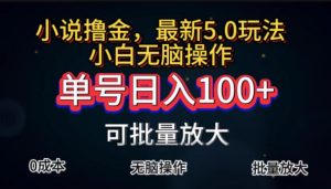 （11651期）全自动小说撸金，单号日入100+小白轻松上手，无脑操作-网创项目总站