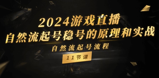 （11653期）2024游戏直播-自然流起号稳号的原理和实战，自然流起号流程（11节）-网创项目总站