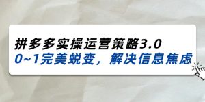 （11658期）2024_2025拼多多实操运营策略3.0，0~1完美蜕变，解决信息焦虑（38节）-网创项目总站