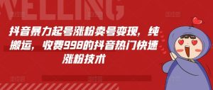 抖音暴力起号涨粉卖号变现，纯搬运，收费998的抖音热门快速涨粉技术-网创项目总站