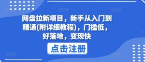 网盘拉新项目,新手从入门到精通(附详细教程),门槛低,好落地,变现快-网创项目总站
