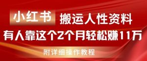 小红书搬运人性资料，有人靠这个2个月轻松赚11w，附教程【揭秘】-网创项目总站