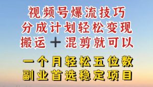 视频号爆流技巧，分成计划轻松变现，搬运 +混剪就可以，一个月轻松五位数稳定项目【揭秘】-网创项目总站
