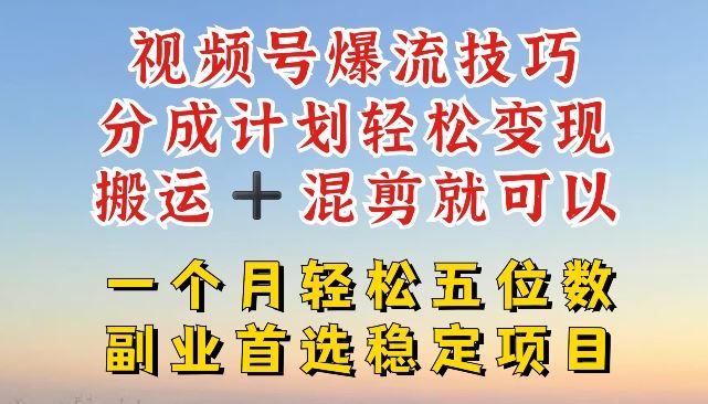 视频号爆流技巧，分成计划轻松变现，搬运 +混剪就可以，一个月轻松五位数稳定项目【揭秘】-网创项目总站