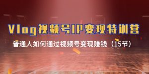 Vlog视频号IP变现特训营，普通人如何通过视频号变现赚钱（15节）-网创项目总站