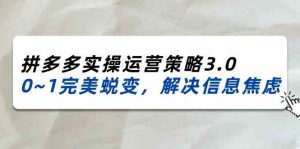 2024-2025拼多多实操运营策略3.0，0~1完美蜕变，解决信息焦虑（38节）-网创项目总站