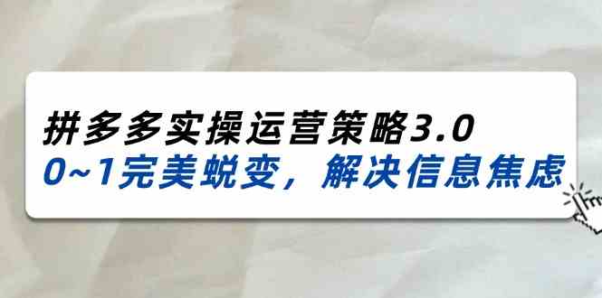 2024-2025拼多多实操运营策略3.0，0~1完美蜕变，解决信息焦虑（38节）-网创项目总站