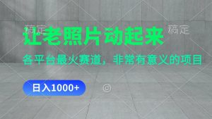 （11671期）让老照片动起来，一天变现1000+，各平台最火赛道，看完就会-网创项目总站