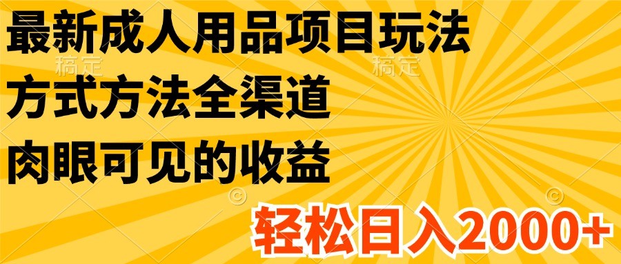 最新成人用品项目玩法，方式方法全渠道，肉眼可见的收益，轻松日入2000+-网创项目总站